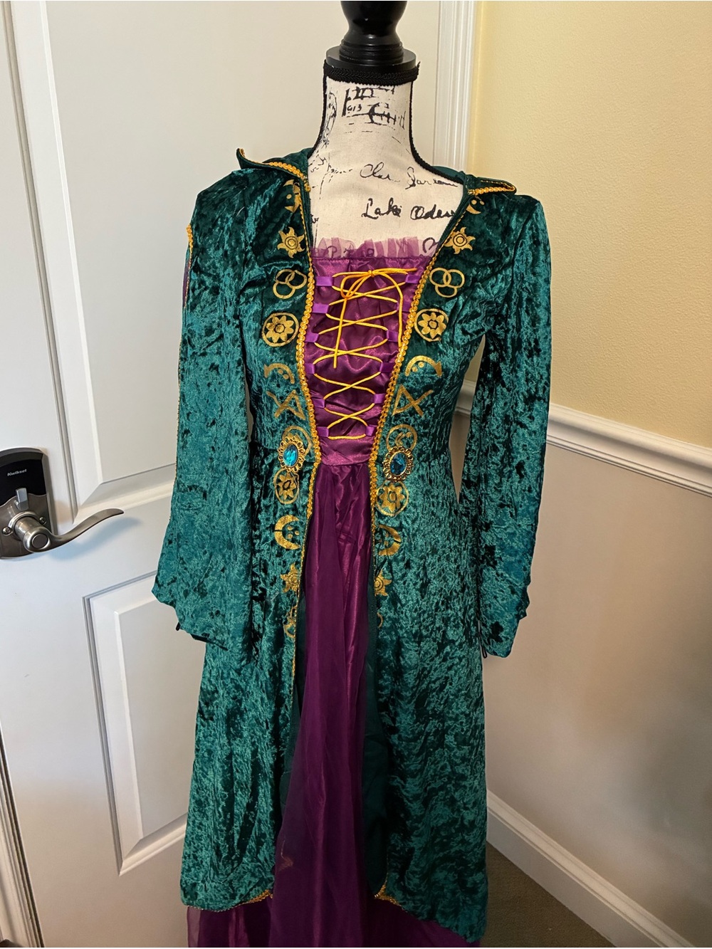 nwot hocus pocus witch emerald Green Velvet Medieval-Inspired dress